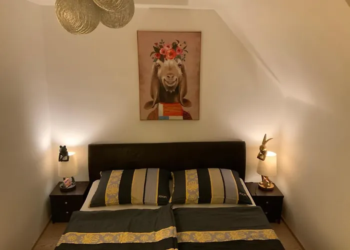 Lt Superior Location Appartement